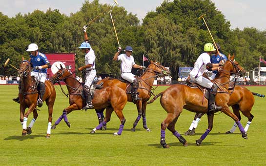 Seguro de viaje para el polo